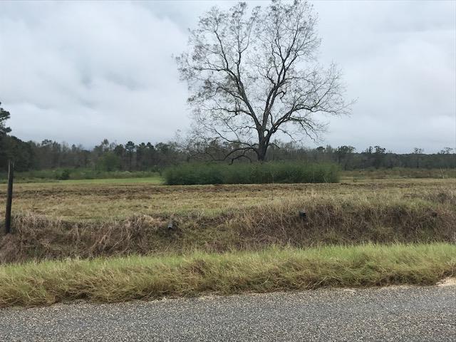 Undisclosed Address Dothan, AL 36301 - Photo 1 of 1
