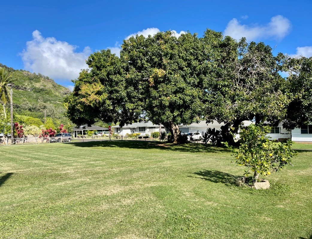390 Oo Road Kapaa, HI 96746 - Photo 6 of 15