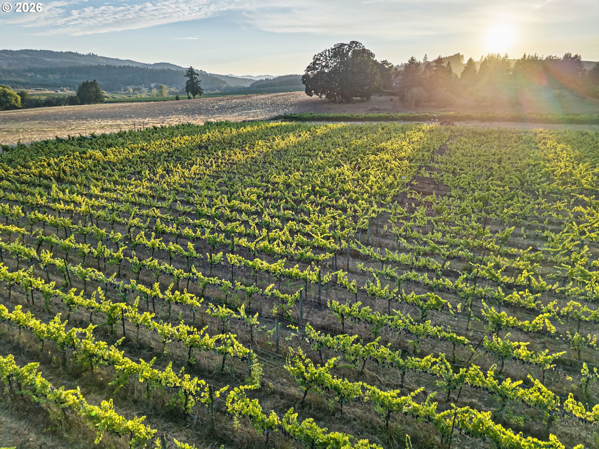 26436 Coon Road Monroe, OR 97456 - Photo 39 of 47