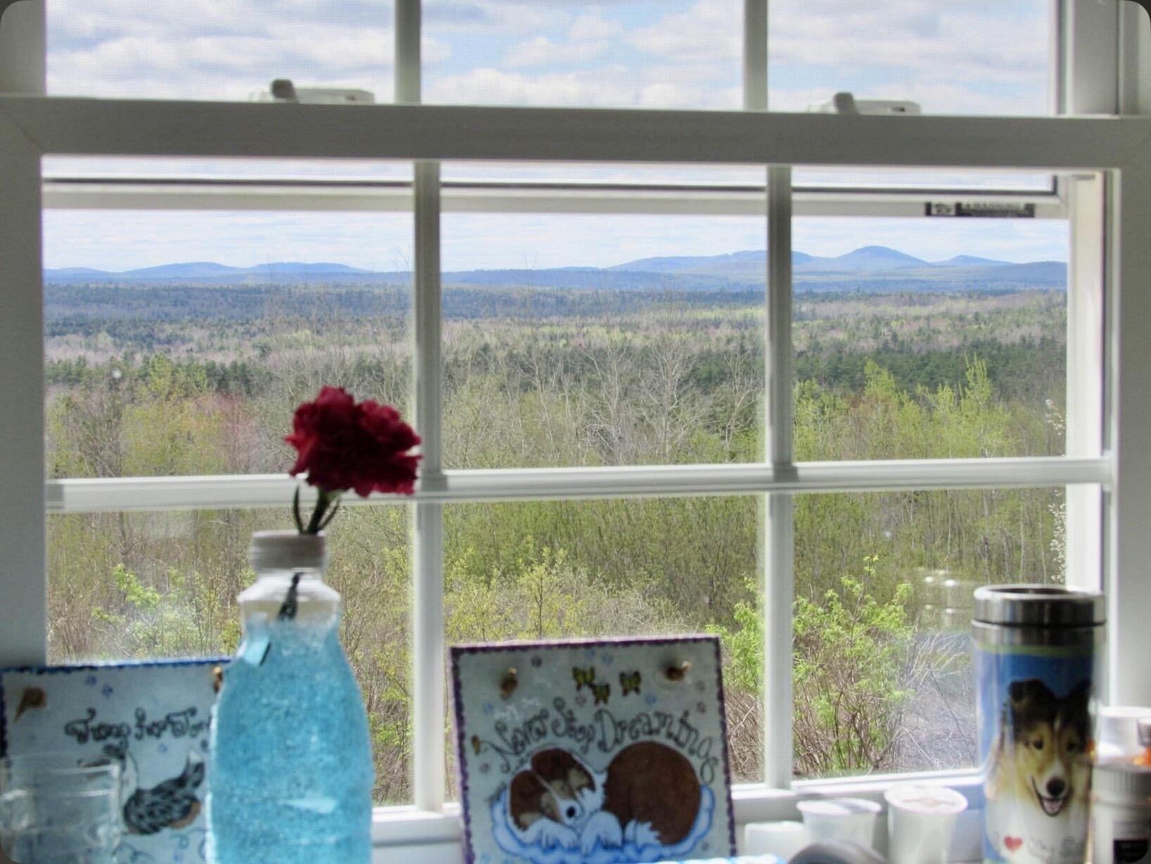 1312 Macomber Mill Road Eastbrook, ME 04634 - Photo 12 of 41