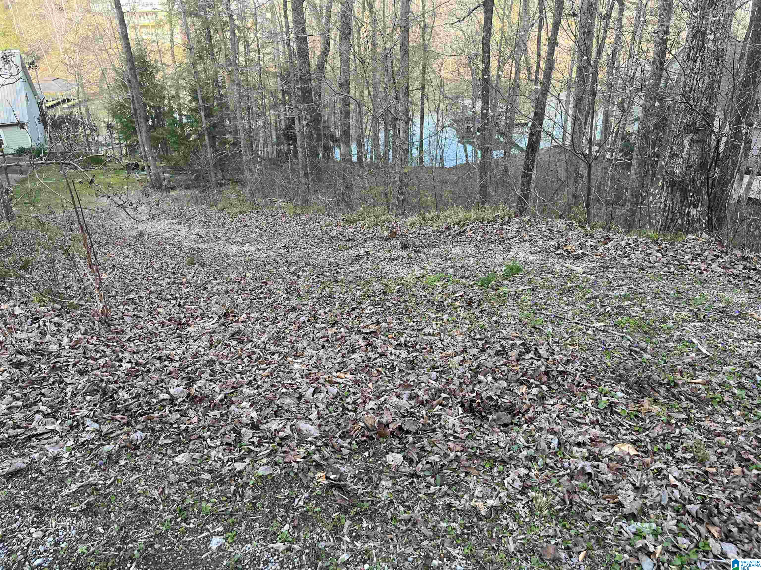 Lot 6 Legends Lane, Unit 6 Arley, AL 35541 - Photo 3 of 18