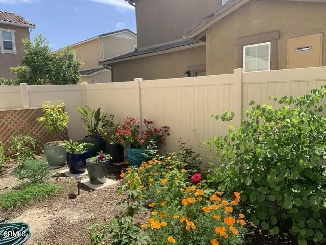 a garden view with potted plants