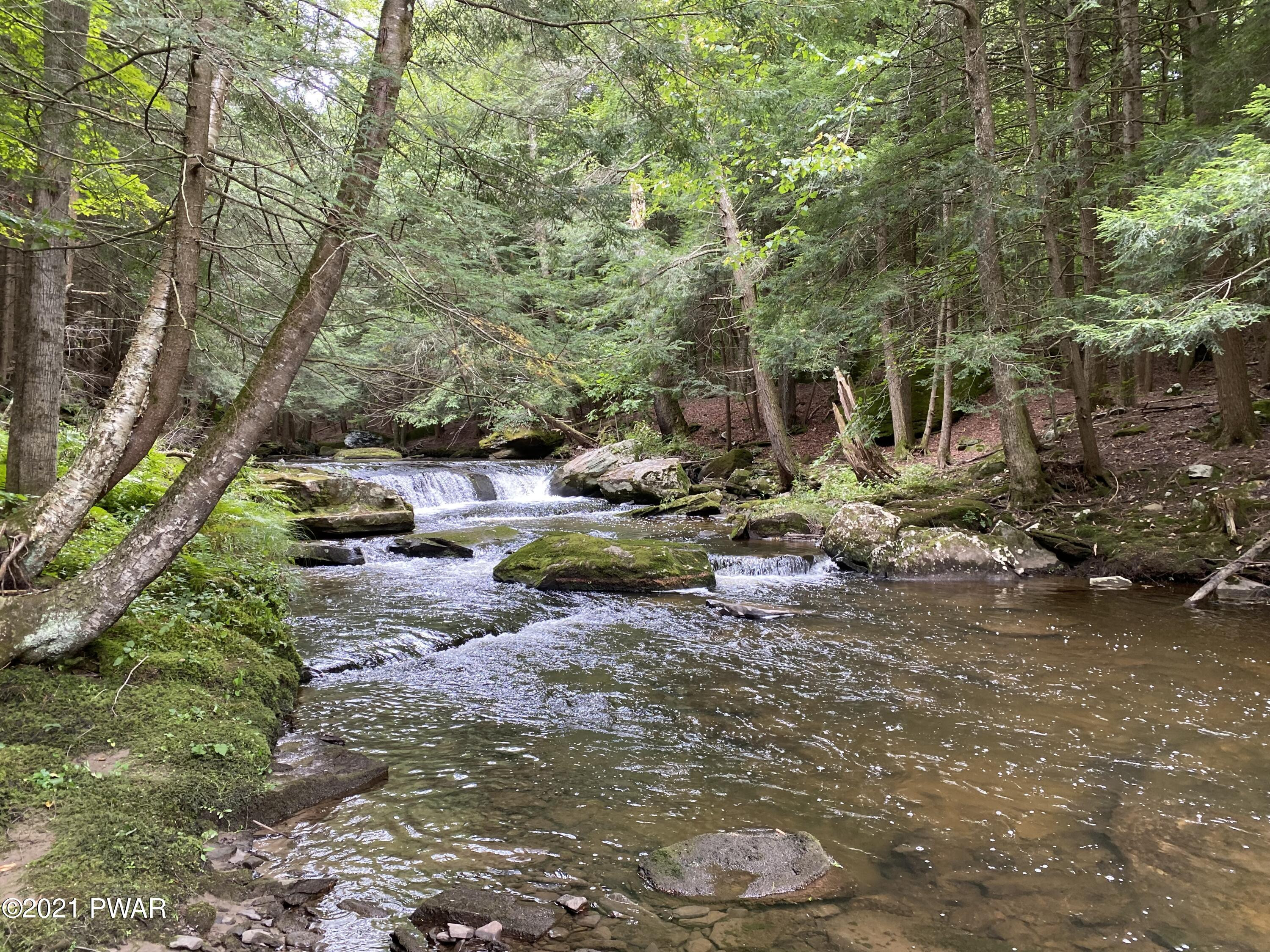 Chinamans Road Lakewood, PA 18439 - Photo 4 of 7