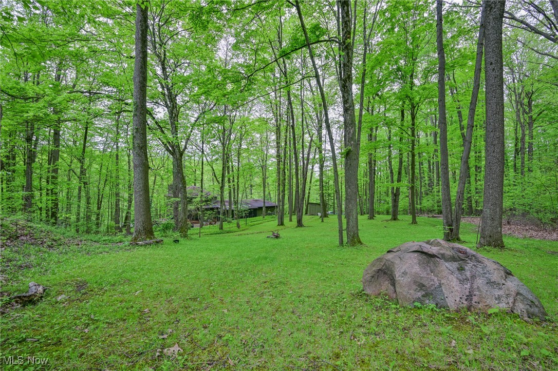10951 Tibbetts Road Kirtland, OH 44094 - Photo 37 of 42 Gallery Image 37