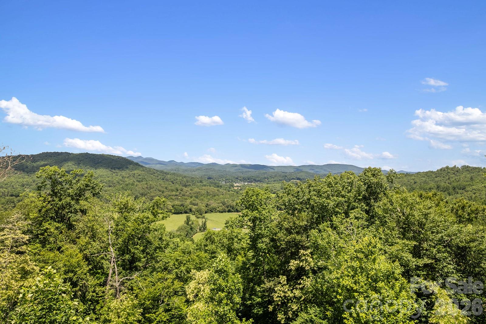 376 Stoney Brook Road Hendersonville, NC 28739 - Photo 3 of 23