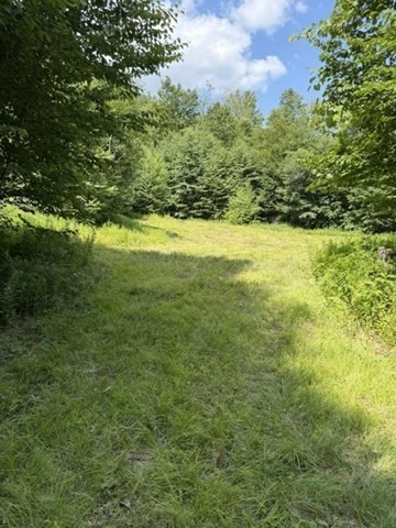 0 Zoar Road Rowe, MA 01367 - Photo 2 of 25 Gallery Image 2