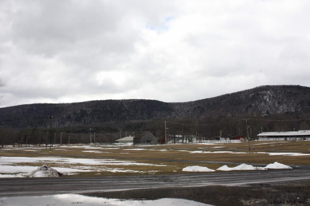 239 Brandle Road Guilderland, NY 12009 - Photo 19 of 19 Photo 19
