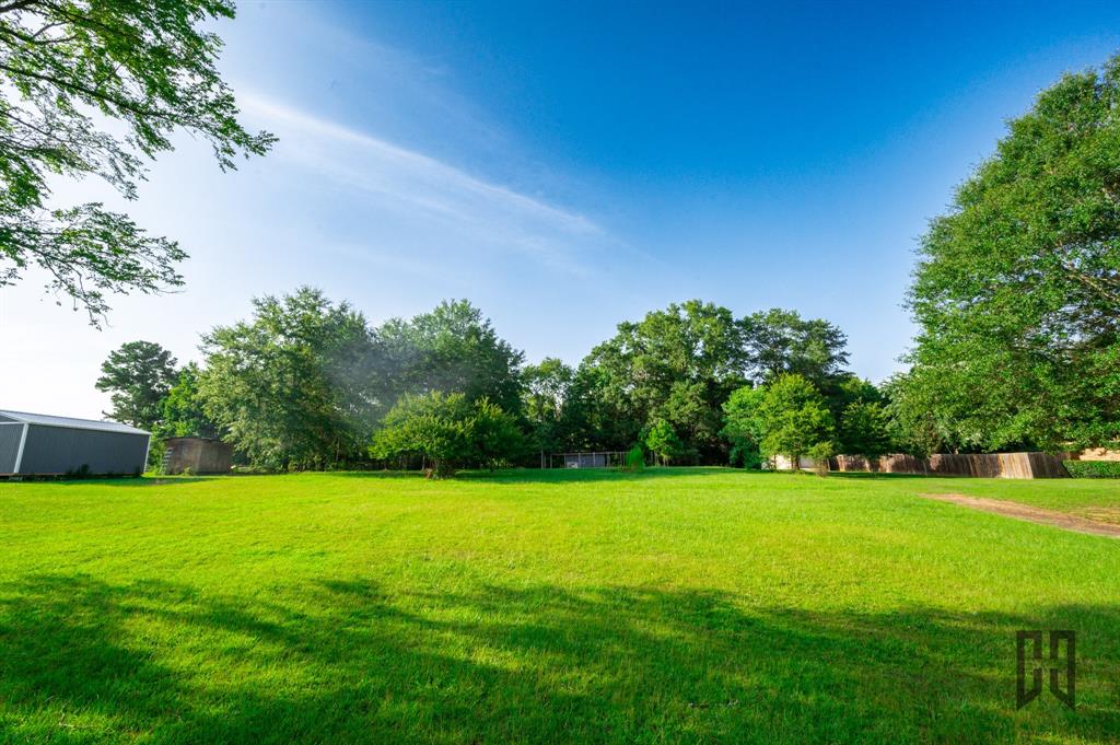 a view of a grassy field with trees in the background
