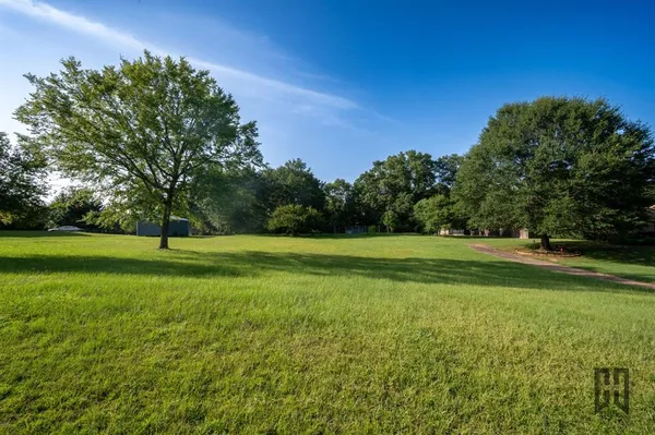 a view of a garden with trees