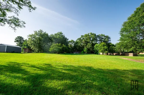a view of a grassy field with trees