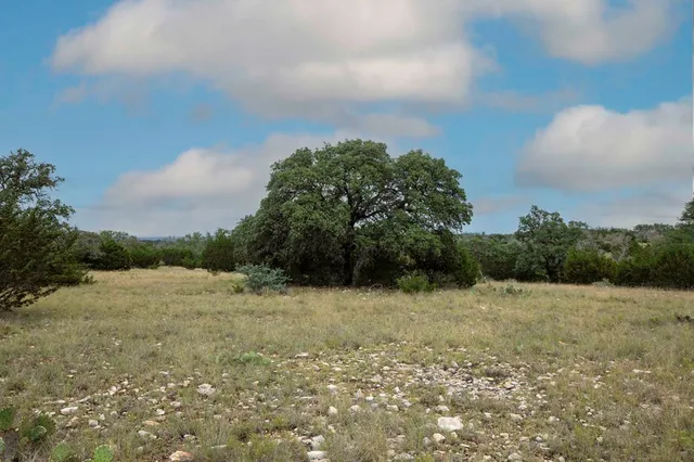 a view of a field with a tree in the background