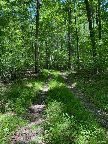 V/l Underwood Road Caro, MI 48723 - Photo 9 of 13