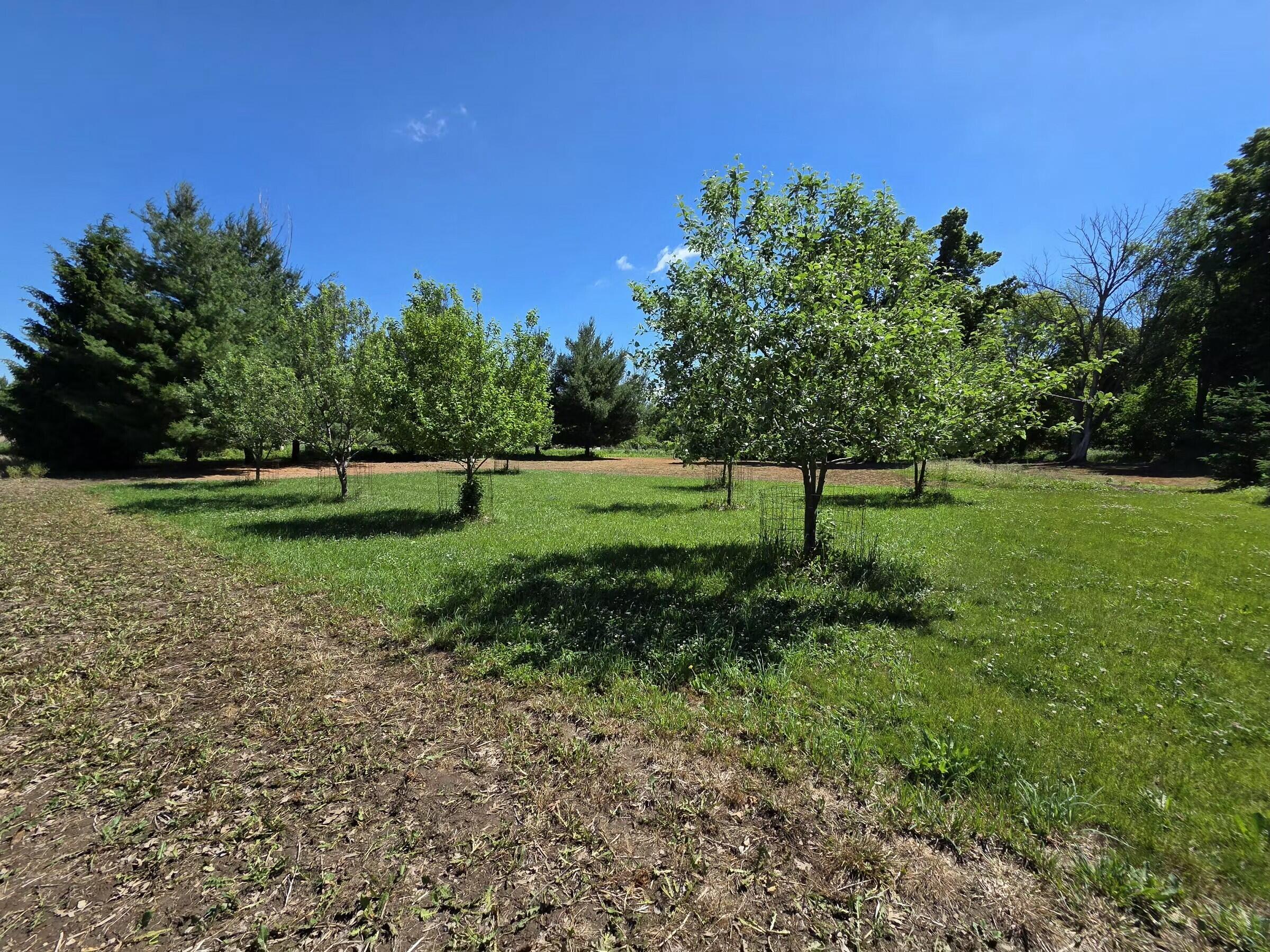 W985 Fur Farm Road New Holstein, WI 53061 - Photo 36 of 57 12002