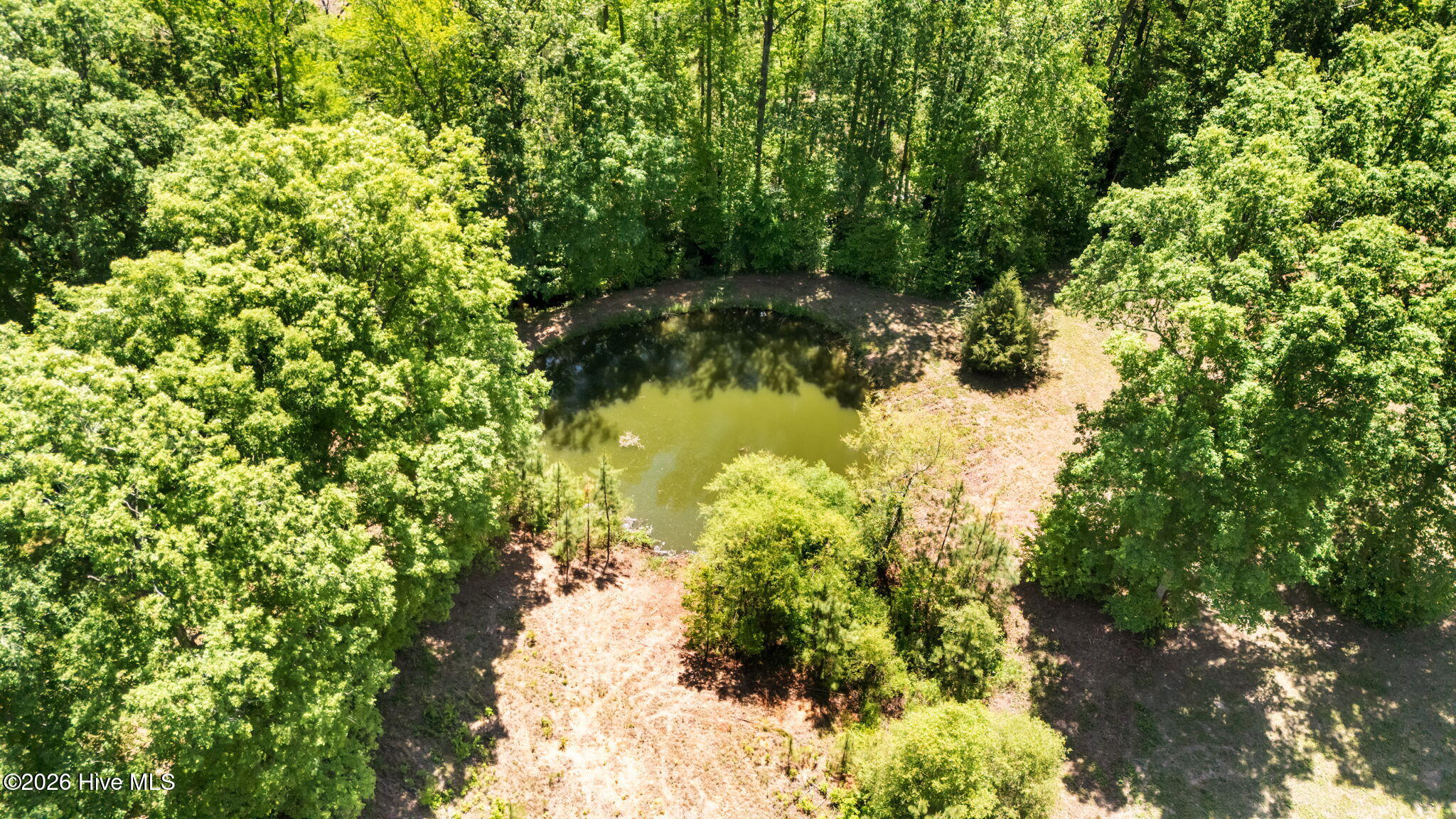435 Thomas Way, Unit 5B Cameron, NC 28326 - Photo 12 of 65 6-web-or-mls-DJI_20240602133419_0117_D