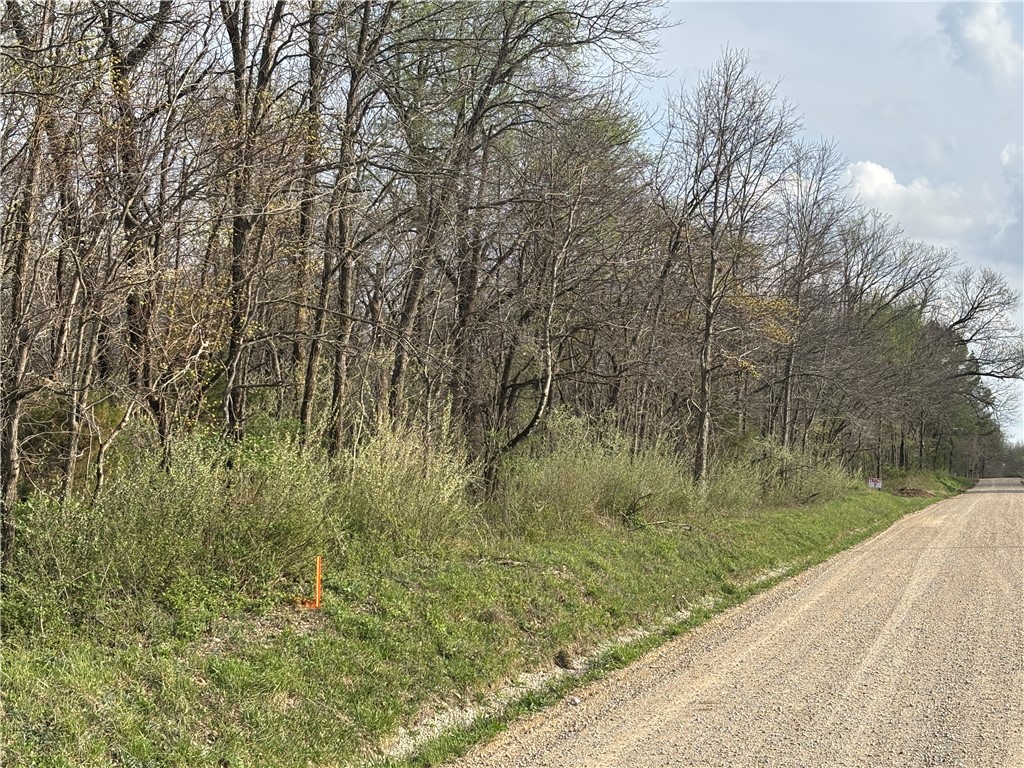 Applegate Road Bridgeport, IL 62417 - Photo 12 of 17