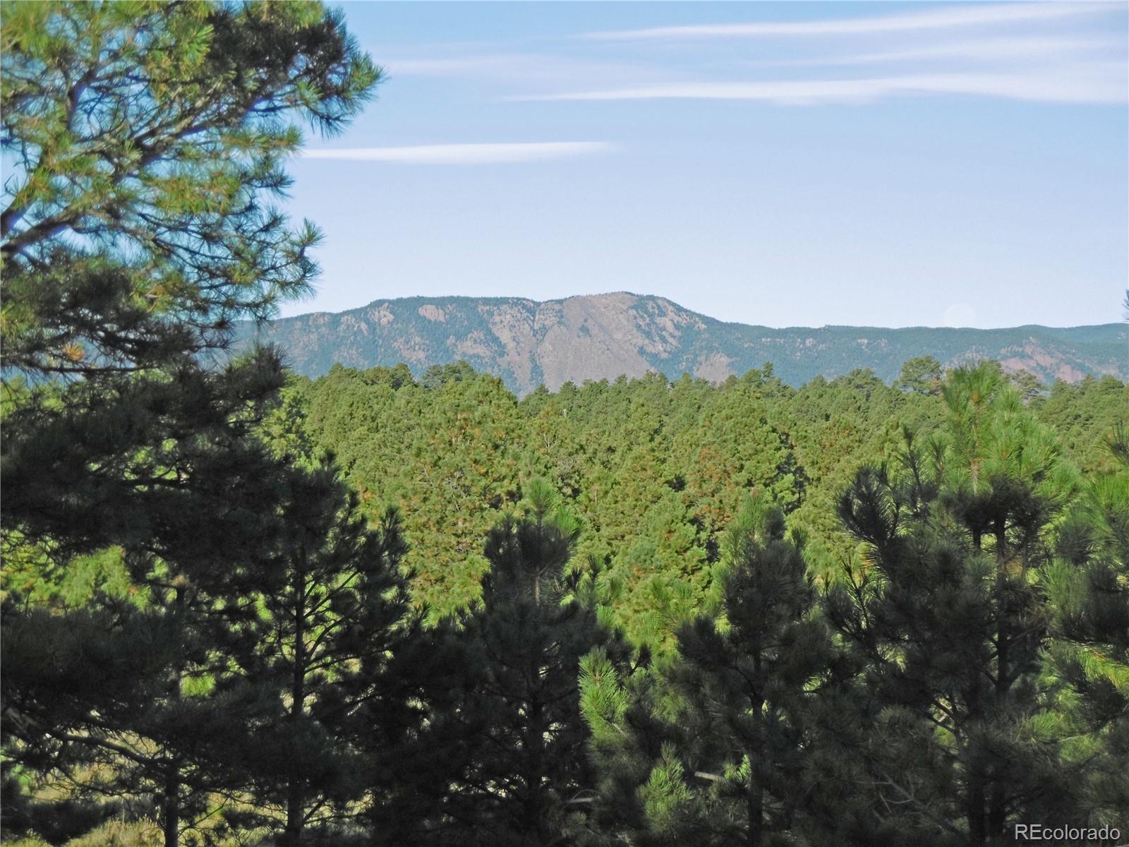1868 East Baptist Road Monument, CO 80132 - Photo 14 of 27 a view of a lush green forest with mountains in the background