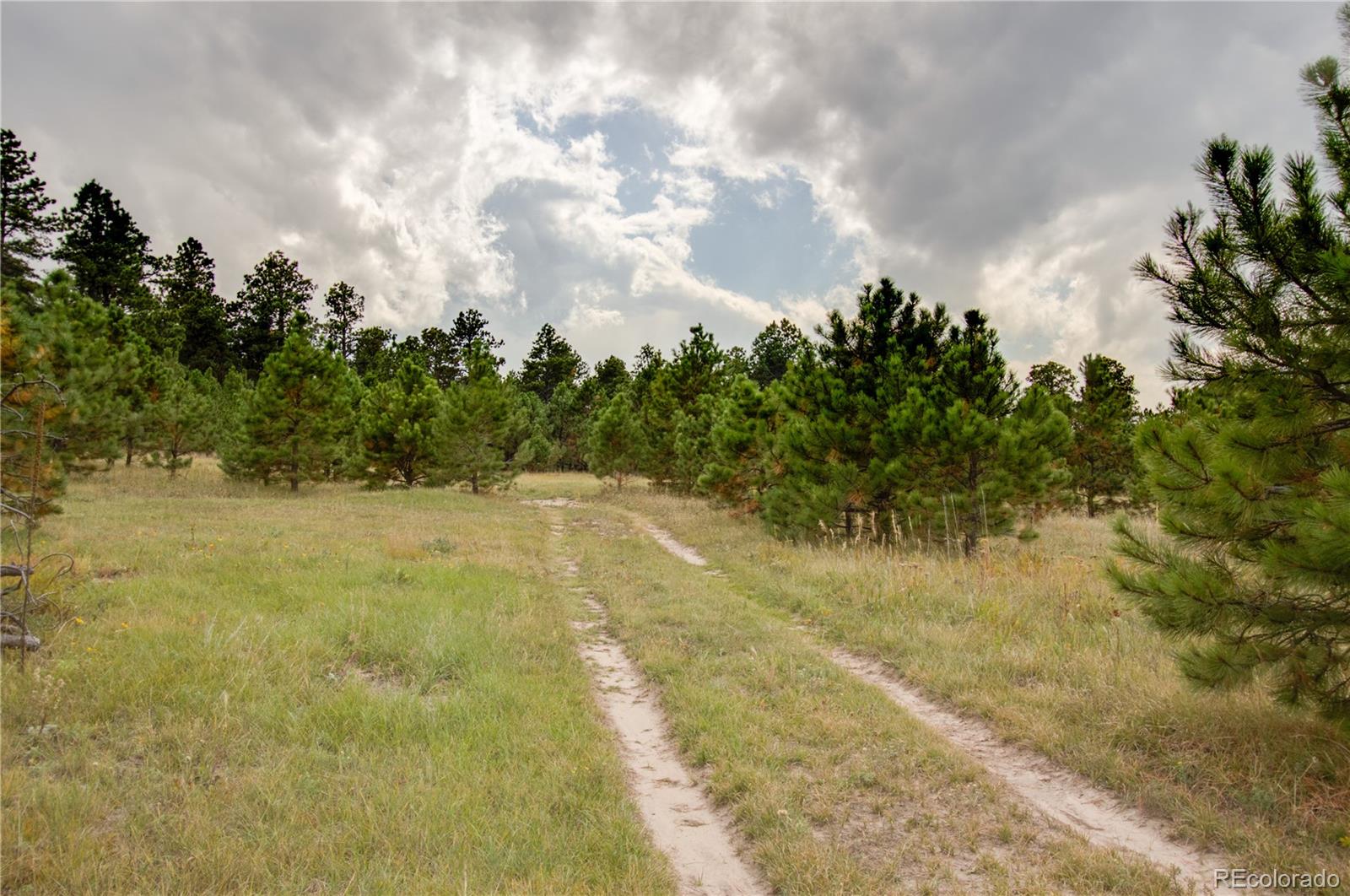 1868 East Baptist Road Monument, CO 80132 - Photo 20 of 27 a view of yard with large trees