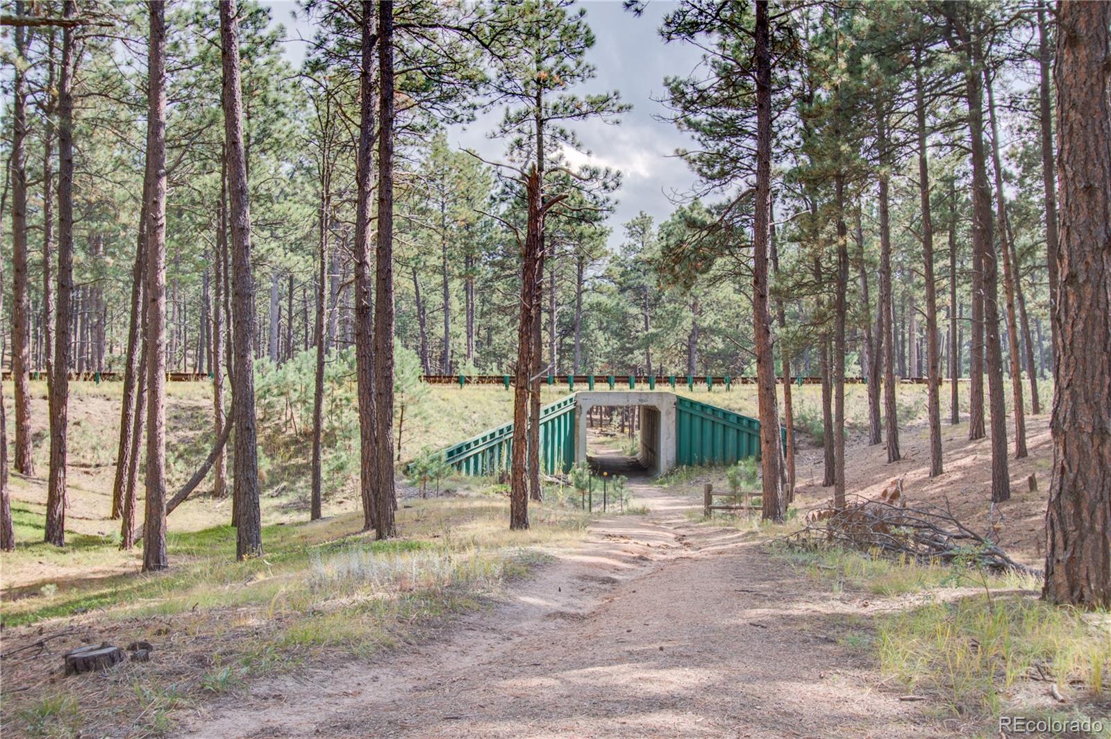 1868 East Baptist Road Monument, CO 80132 - Photo 21 of 27 a view of a park with large trees