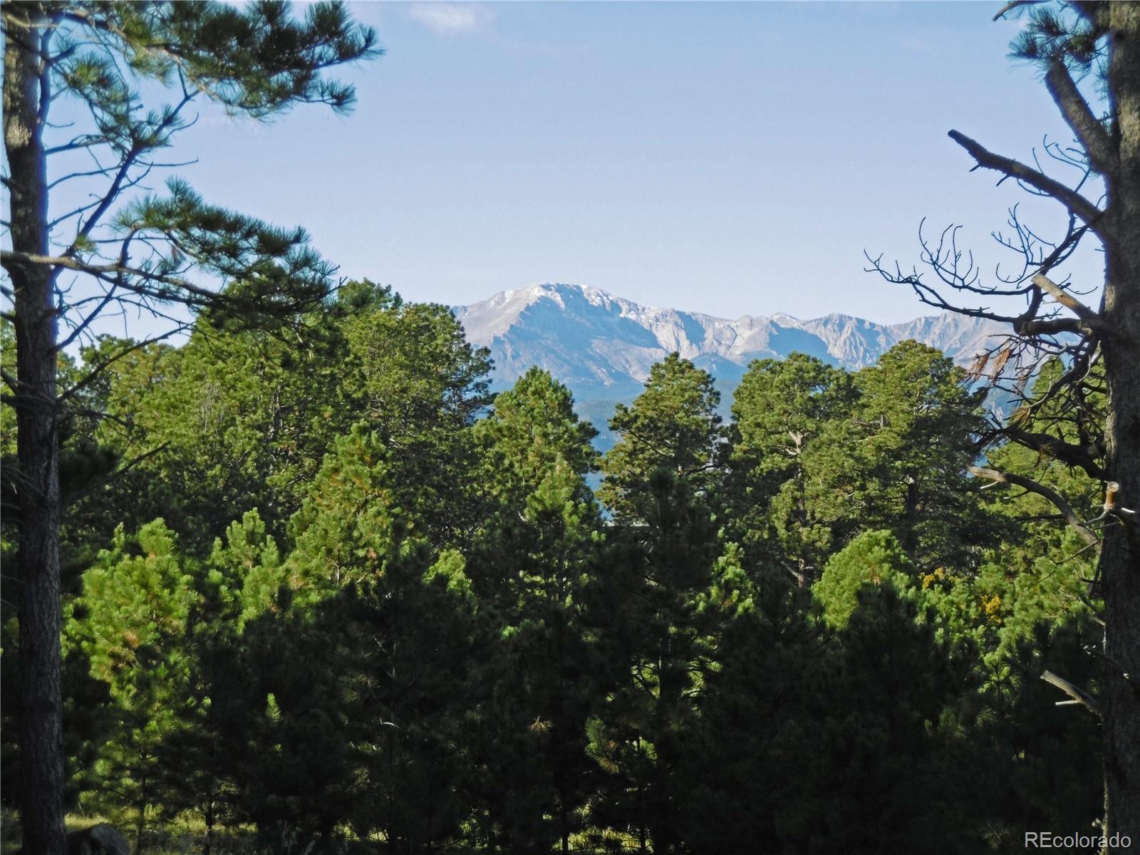1868 East Baptist Road Monument, CO 80132 - Photo 23 of 27 a view of a bunch of trees and bushes