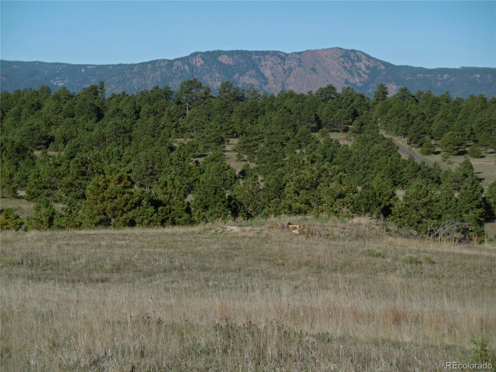 1868 East Baptist Road Monument, CO 80132 - Photo 24 of 27 a view of a dry field with mountains in the background