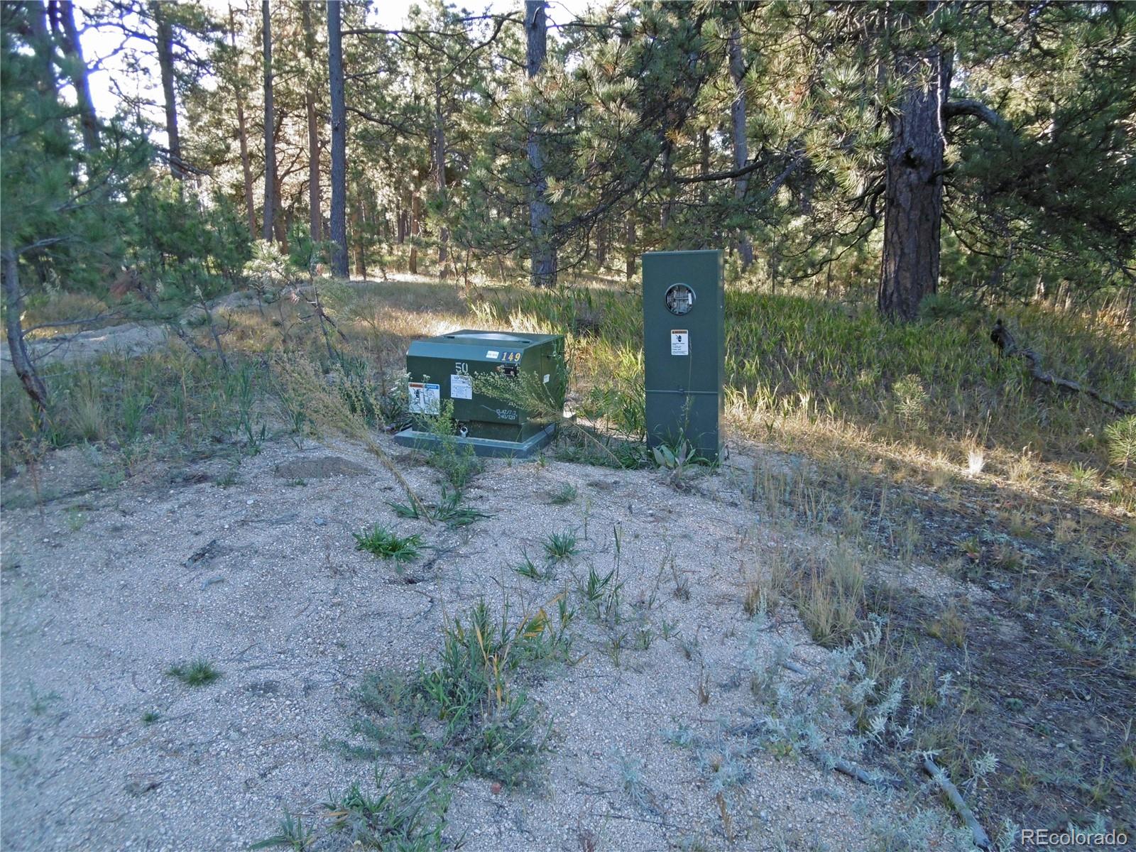 1868 East Baptist Road Monument, CO 80132 - Photo 27 of 27 a view of a forest filled with trees
