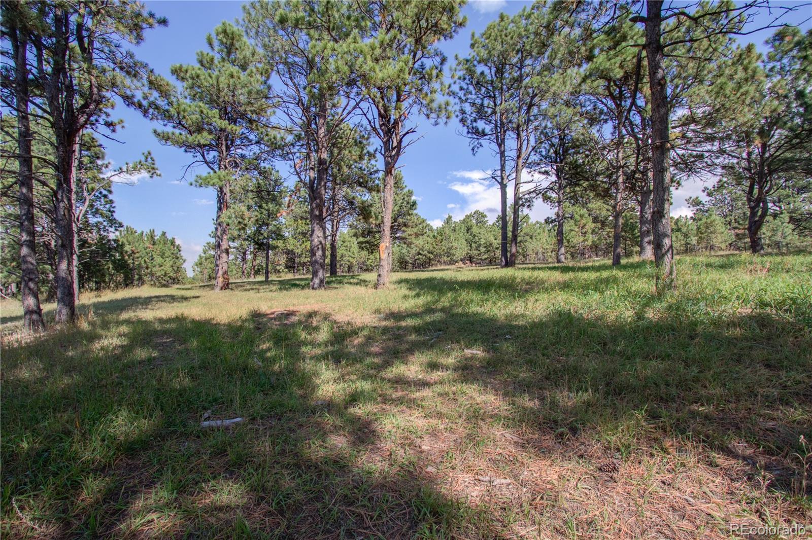 1868 East Baptist Road Monument, CO 80132 - Photo 9 of 27 a view of a field with trees