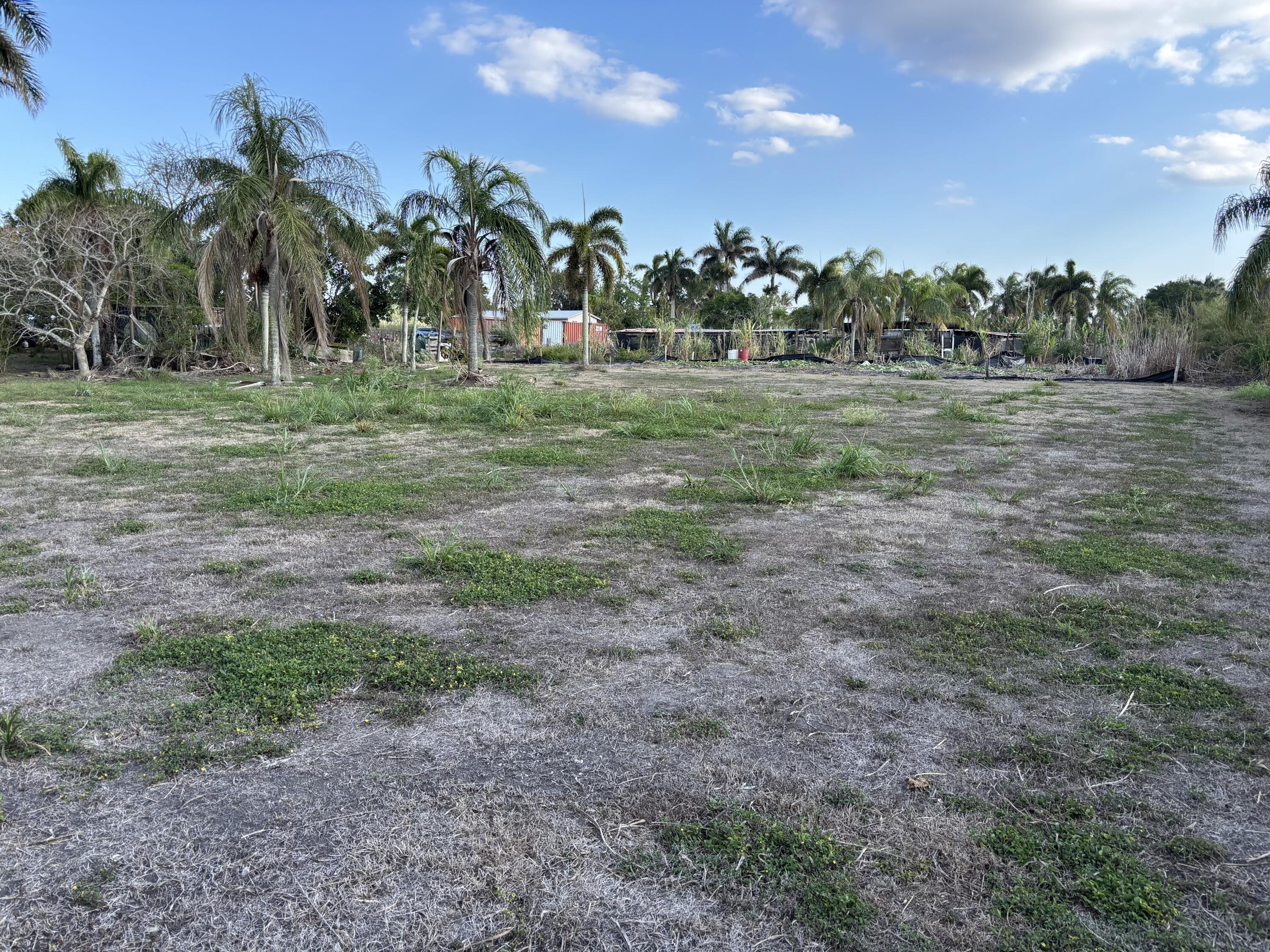 0 Airport Road Pahokee, FL 33476 - Photo 3 of 5 IMG_5332