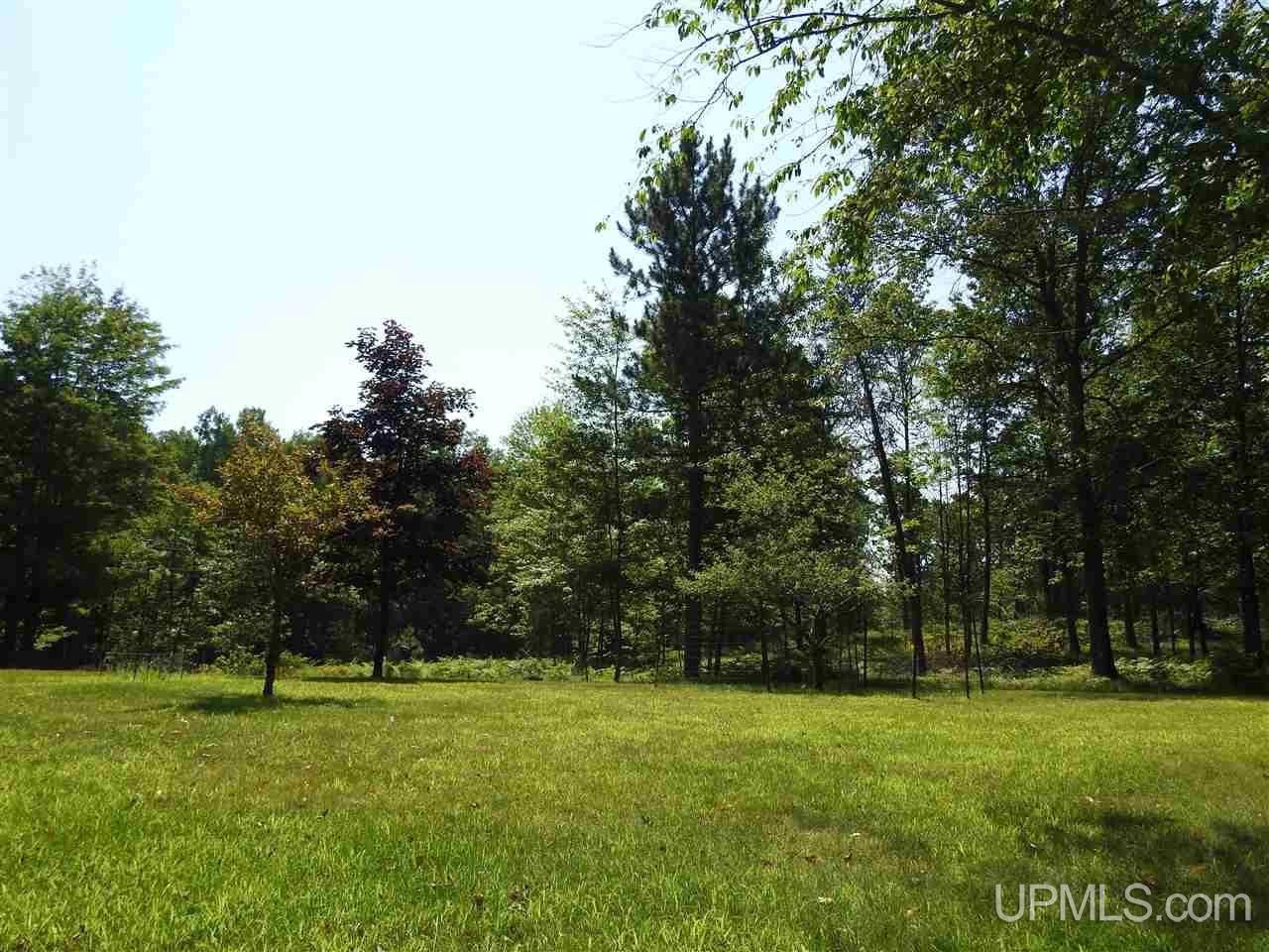 1299 WPA Road Vulcan, MI 49892 - Photo 18 of 20