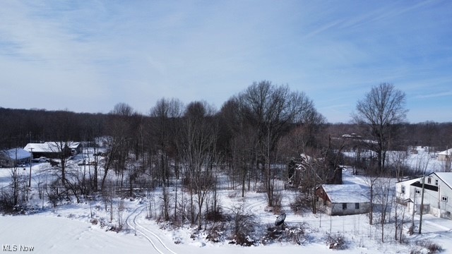 10268 Madison Road Montville, OH 44064 - Photo 5 of 7