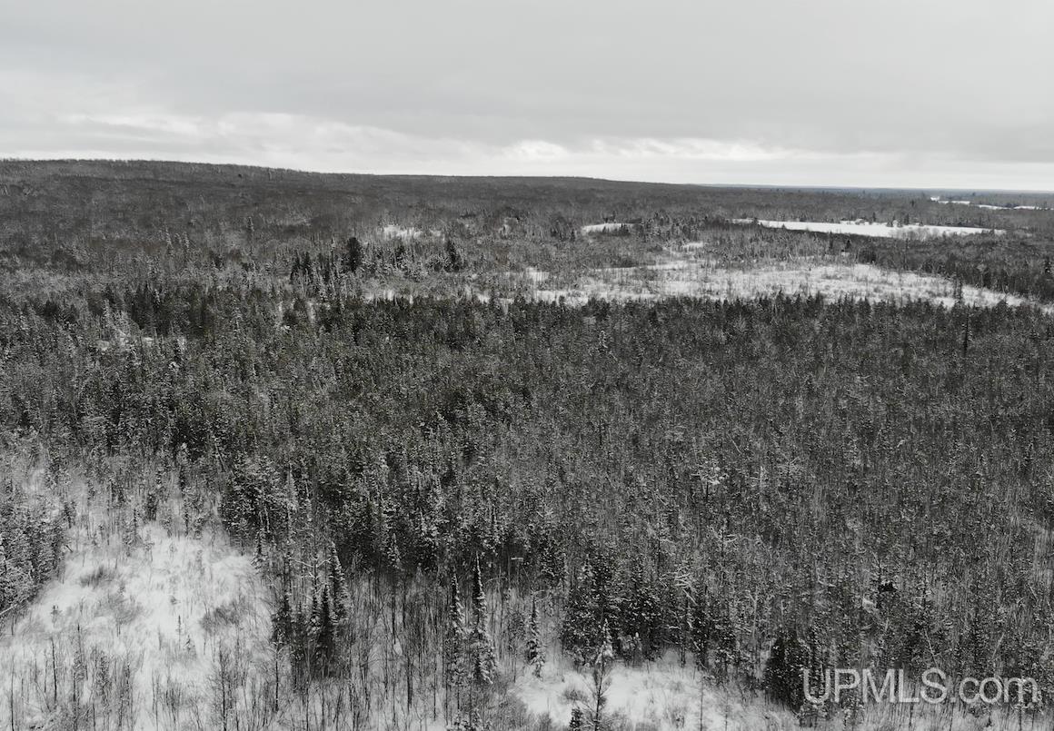 Tbd80 Froberg Road Baraga, MI 49908 - Photo 8 of 12 Gallery Image 8
