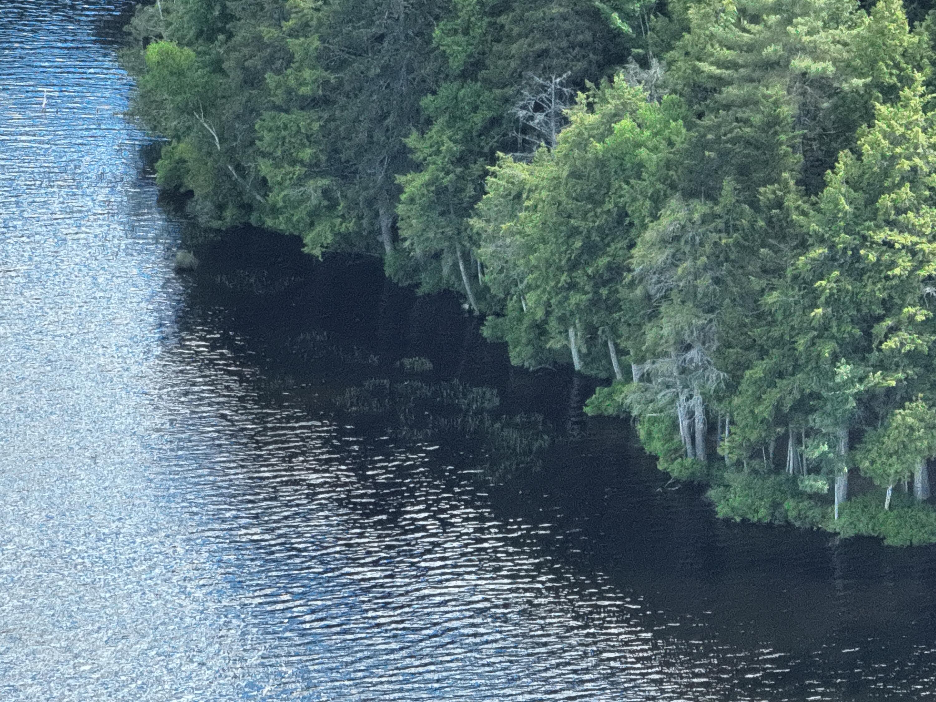 74 Eagle Ridge Road Lincoln, ME 04457 - Photo 32 of 32