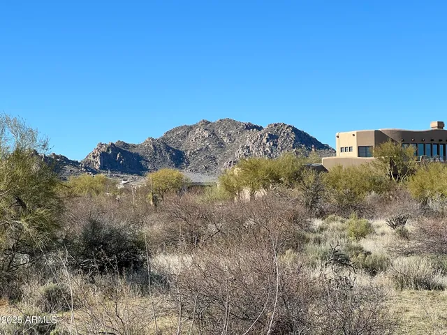 a view of a yard of the yard