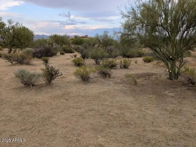 a view of a dry yard with trees