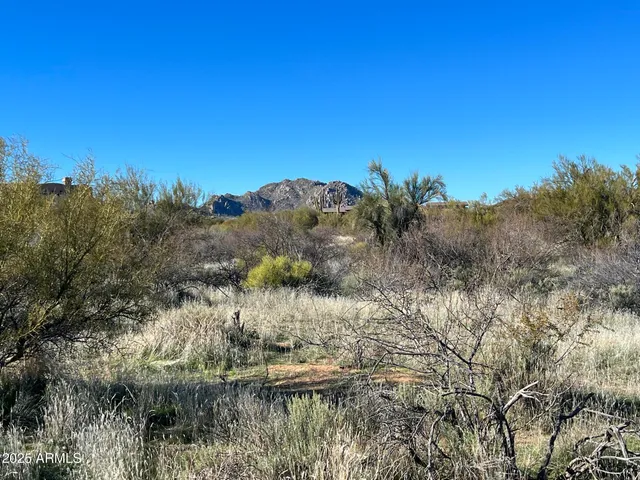 a view of a lake with a mountain in the background