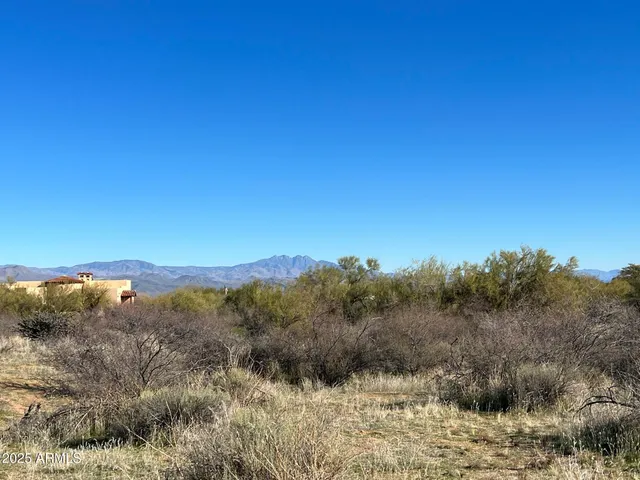 a view of a dry yard with green space