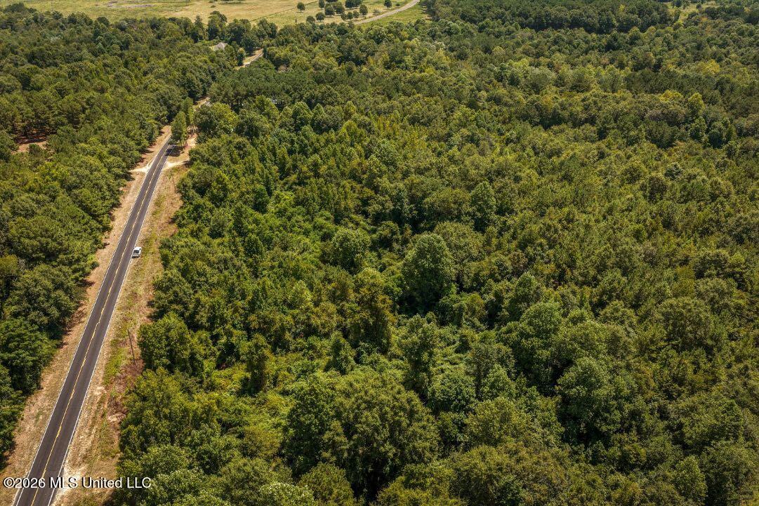 Joe Booth Road Taylorsville, MS 39168 - Photo 23 of 34 DJI_20260813121126_0619_D