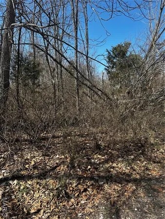 $6,500 | 2449 Sanchez Drive, Cuba, MO 65453