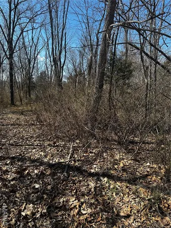 $6,500 | 2449 Sanchez Drive, Cuba, MO 65453