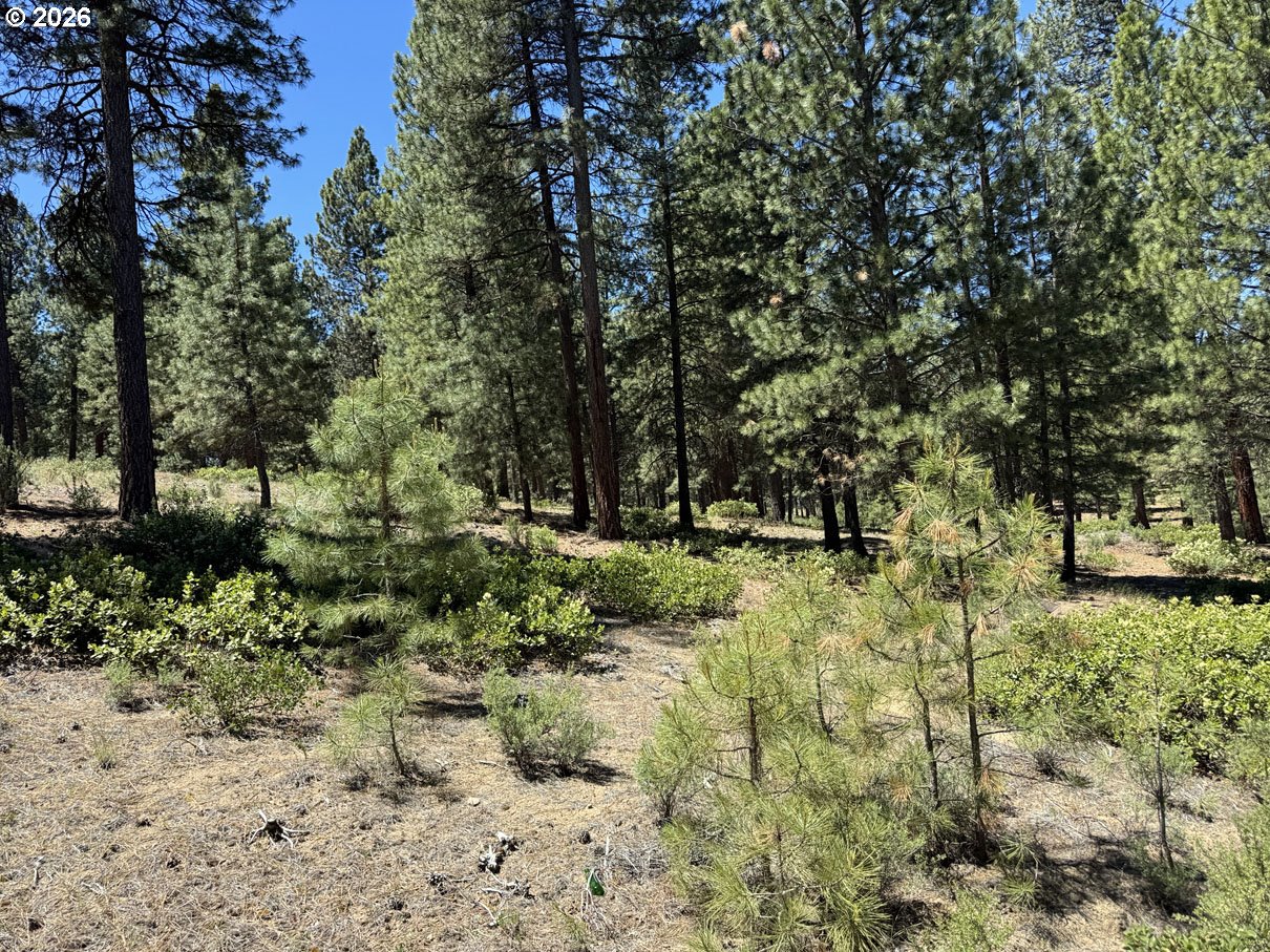Incline Drive, Unit 22 Chiloquin, OR 97624 - Photo 3 of 19