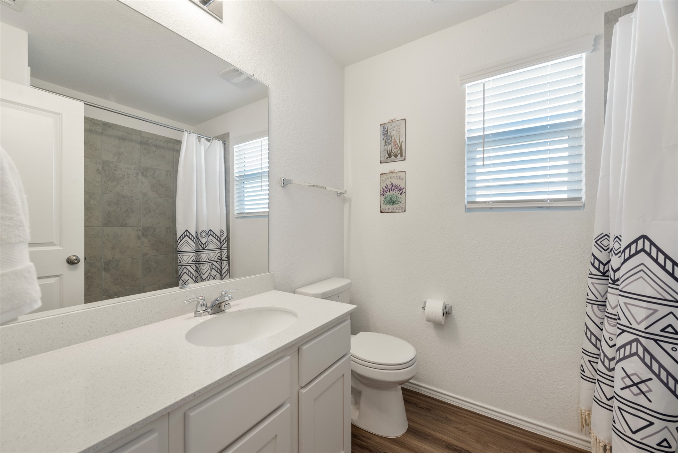 230 Crystal River Road Kyle, TX 78640 - Photo 6 of 27 Guest Bathroom, full bathroom