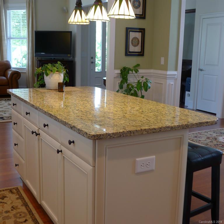 833 Great Wagon Road Fort Mill, SC 29715 - Photo 13 of 24 Gallery Image 13