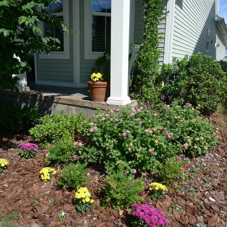 833 Great Wagon Road Fort Mill, SC 29715 - Photo 5 of 24 Gallery Image 5