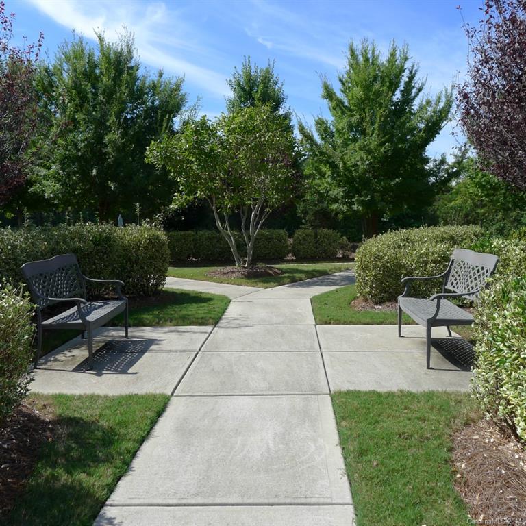 833 Great Wagon Road Fort Mill, SC 29715 - Photo 6 of 24 Gallery Image 6