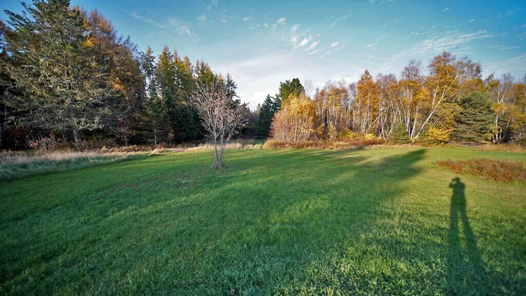 236 Calais Road Danforth, ME 04424 - Photo 52 of 53 land-me-woods-danforth