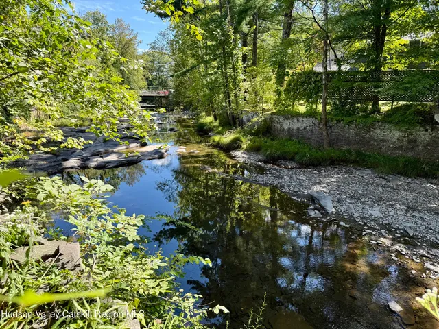 a view of a patio with table and chairs a barbeque with potted plants and large trees