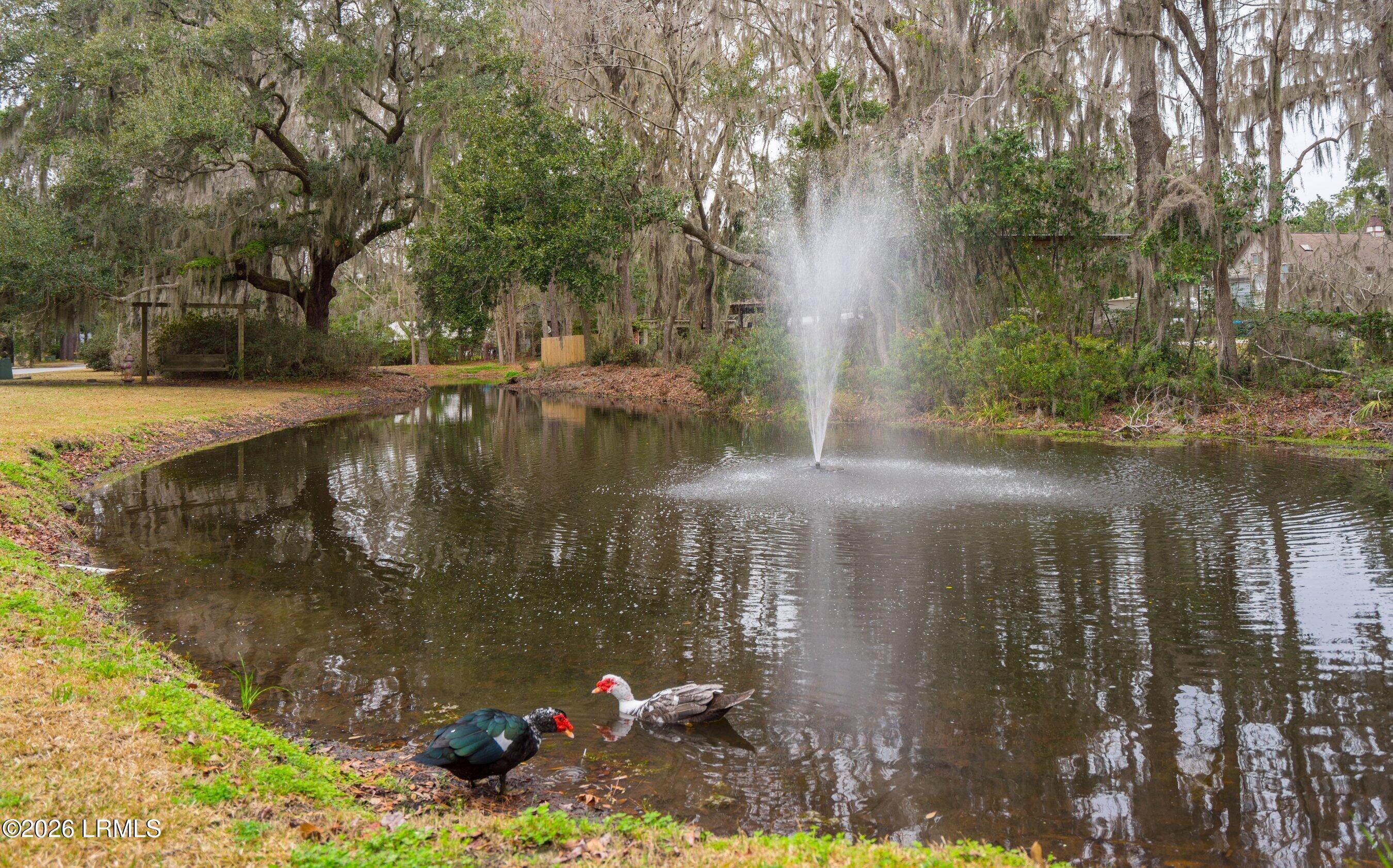 2677 Broad Street Beaufort, SC 29902 - Photo 55 of 55 DSC09322-1-FULL.jpg-FULL.JPG-FULL.JPG-SM