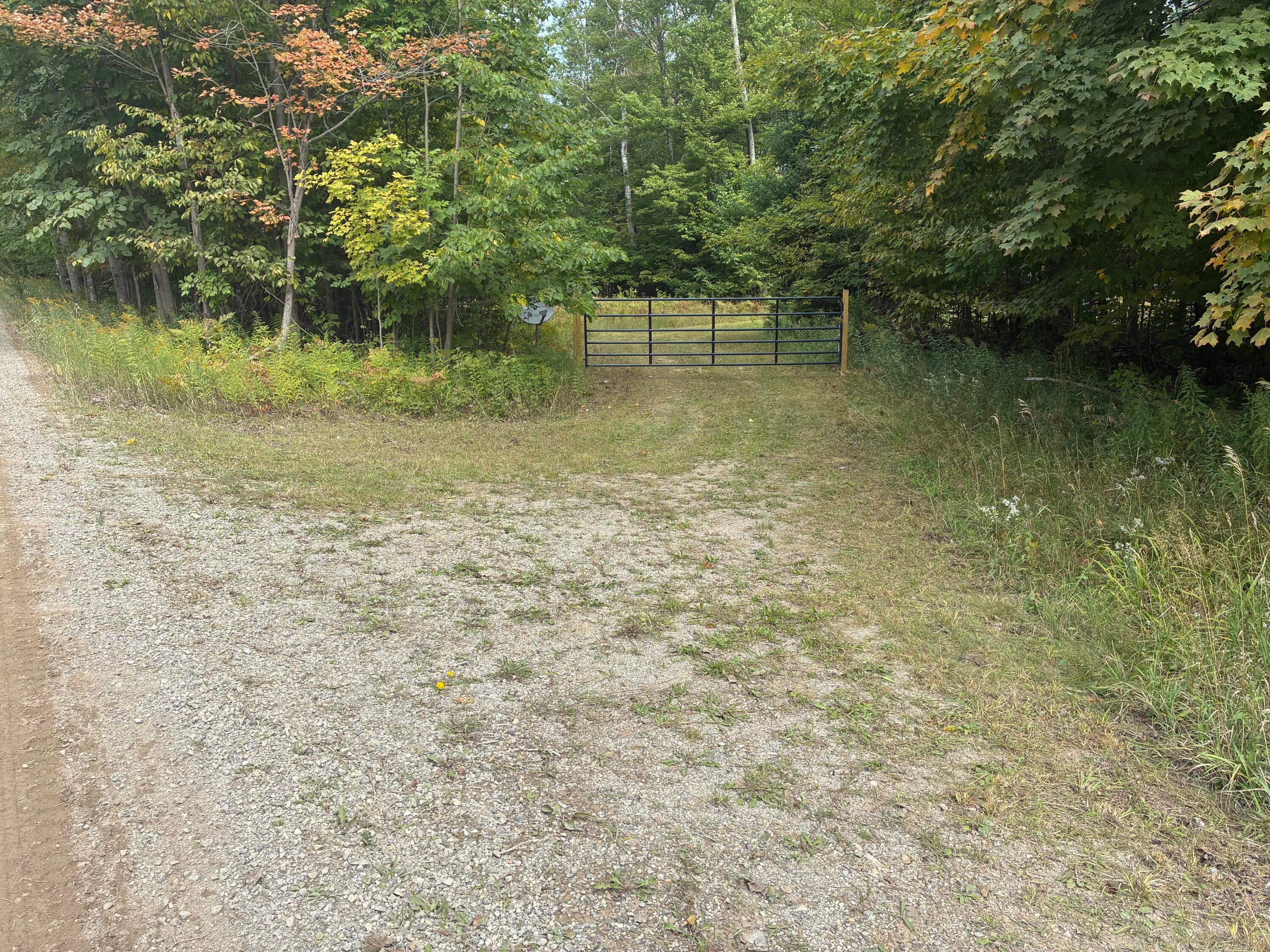 11449 Bilder Road Wolverine, MI 49799 - Photo 6 of 68 Gallery Image 6