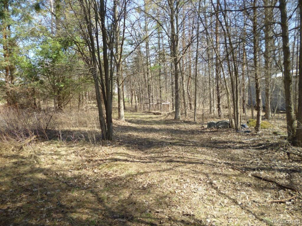 0 Campground Road Romeo, MI 48065 - Photo 14 of 19 P1000825.jpg
