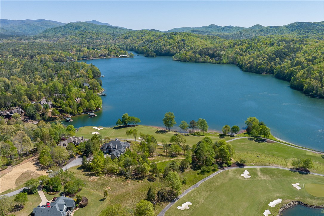 249 Long Cove Court Sunset, SC 29685 - Photo 4 of 21