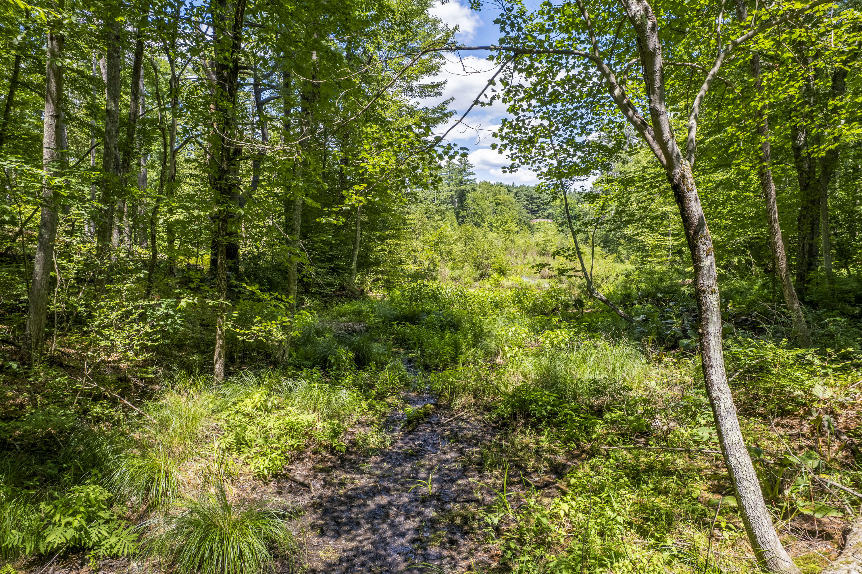 82 Oldfields Road South Berwick, ME 03908 - Photo 45 of 49 82 Oldfields Rd_158